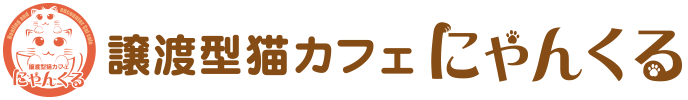 にやんくる　遊べる、出会う　譲渡型猫カフェにやんくる